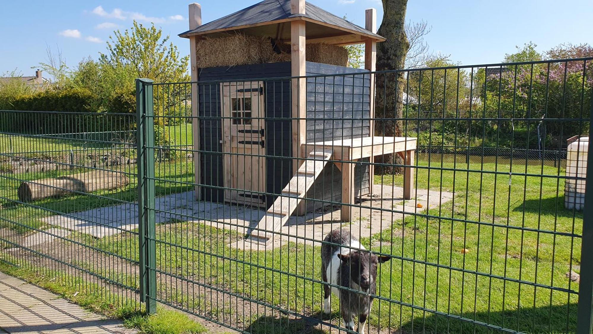 Luxe Zomerwoning Met Omheinde Tuin Voor Hond En Kinderen Dirkshorn Exterior photo
