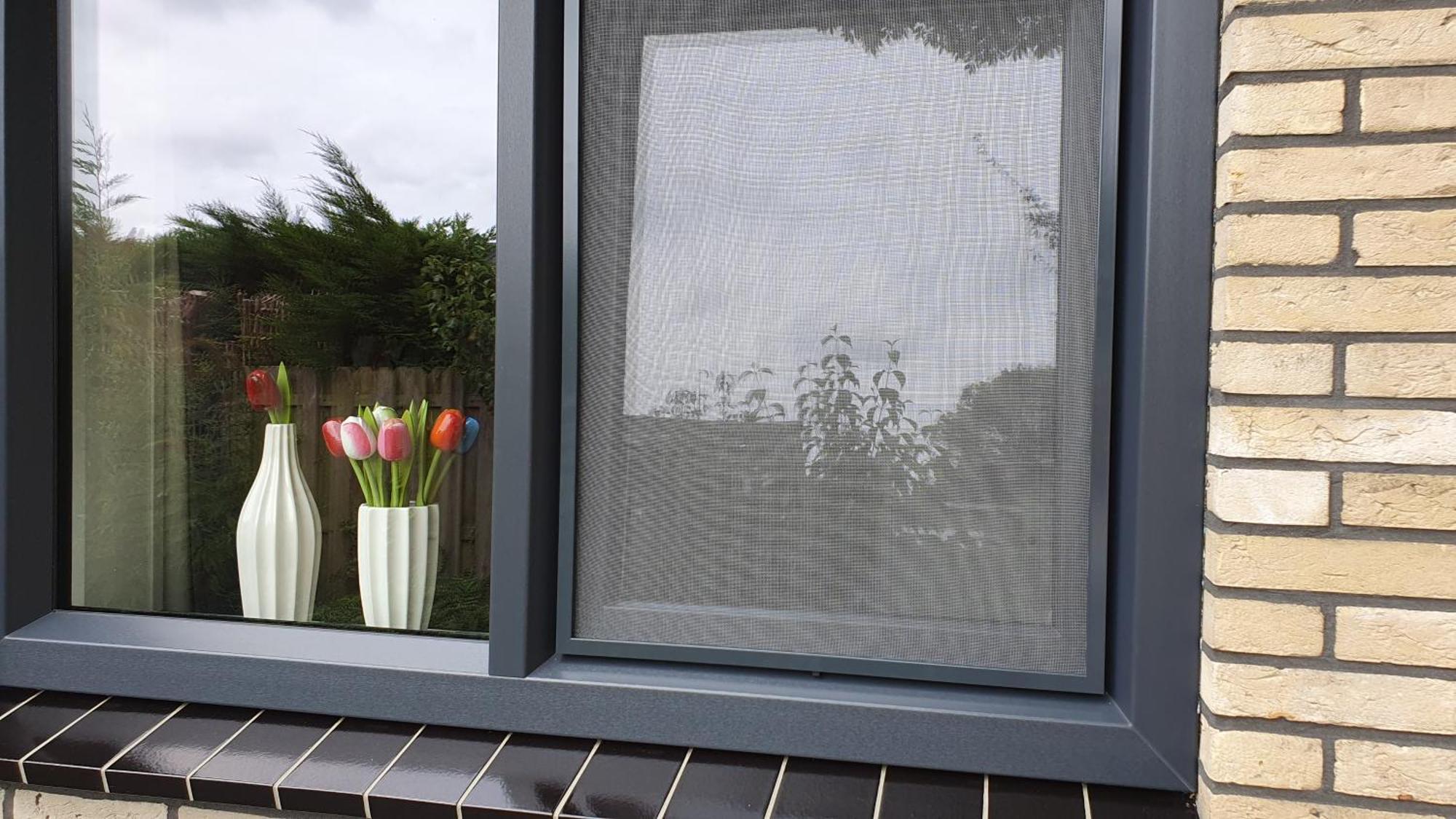 Luxe Zomerwoning Met Omheinde Tuin Voor Hond En Kinderen Dirkshorn Exterior photo